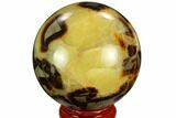 Polished Septarian Sphere - Madagascar #122902-1